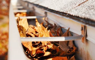 Scrwgan gutter cleaning companies