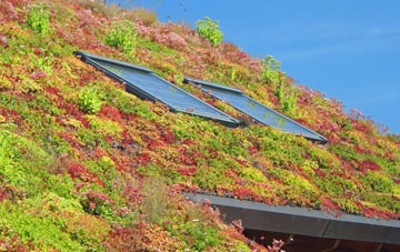 Scrwgan living roof systems