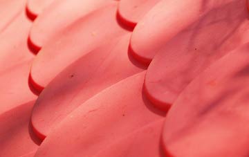 Scrwgan plastic roof costs