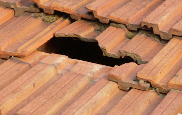 roof repair Scrwgan, Powys
