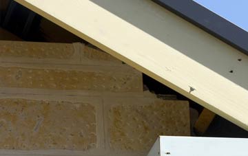 soffit repair Scrwgan