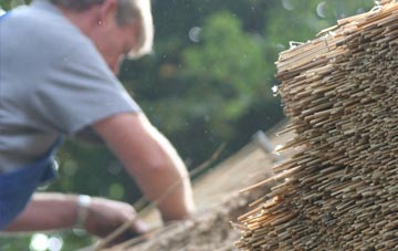 professional Scrwgan thatchers