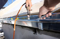 free Scrwgan fascia quotes